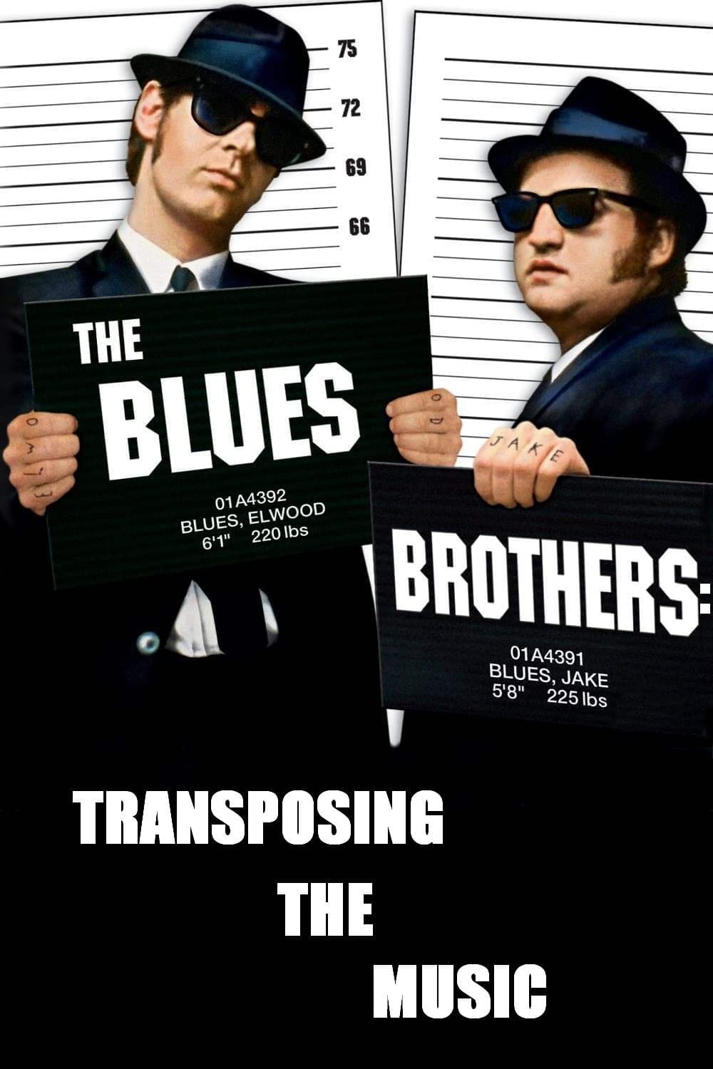 Постер The Blues Brothers: Transposing The Music